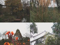 -西溪国家湿地公园