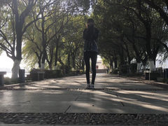 -瑶湖郊野森林公园