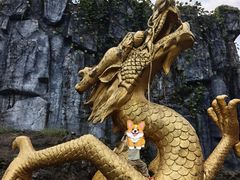 -宜兴龙背山森林公园