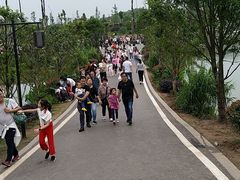 -枫香湖儿童公园