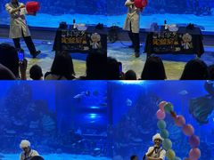 -顺德南宏海立方海洋公园