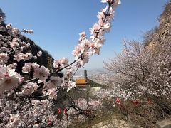 -鸡鸣山旅游风景区