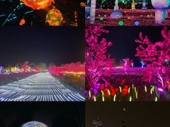 -国际非物质文化遗产博览园