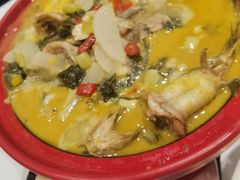砂锅嘎鱼-凯鸽酒楼(操场城店)