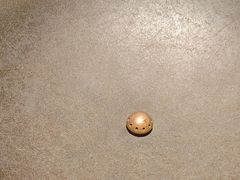 -咕嘟草帽鱼·牛奶一样的鲜鱼汤(包河万达广场创始店)