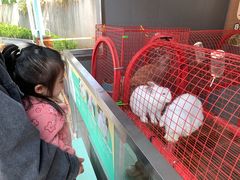 -杭州开元森泊度假乐园