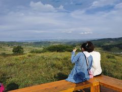 -御道口草原森林风景区