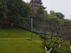 -鸿恩陶然大观园