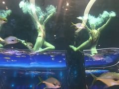 -瑞德姆美人鱼海底演艺主题餐厅(亚龙湾店)