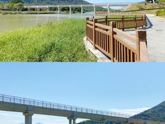 -风云岭森林公园