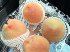 -老袁家蜜桃农场·阳山水蜜桃