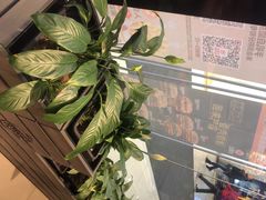 -汉堡王(财富广场店)