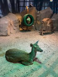 -酷嗒动物文化乐园(cutezoo西溪乐天城店)