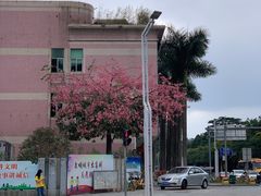 -广东科技学院(南城校区)