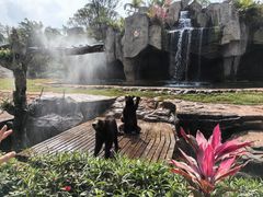 -海南热带野生动植物园