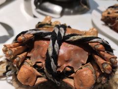 -五月罗马海鲜自助餐厅(陆家嘴店)