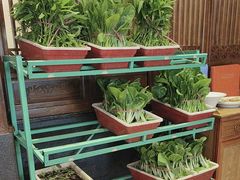 -天和晟烤鸭店(玉泉西街店)