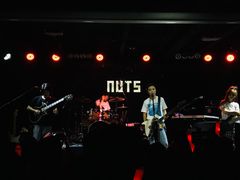 -坚果NUTS