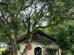 -村上春树