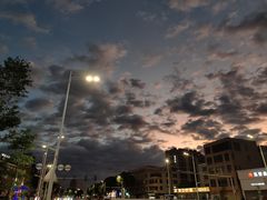 -伟记牛肉(金鸿公路店)