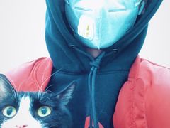 -北京观赏动物医院·24小时大型综合·猫专科·异宠专科