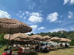 -桃源山庄·烤全羊·柴火鸡·烧烤团建(龙泉山店)