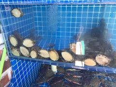 -蟹谢蒸鲜自助餐厅