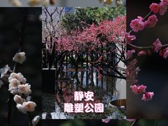 -静安雕塑公园