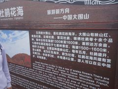 -大围山国家森林公园
