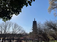 -上海方塔园