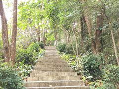 -广州市流溪河国家森林公园