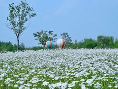 -同里国家湿地公园