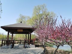 -大兴滨河森林公园