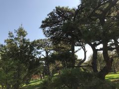 -迎泽公园
