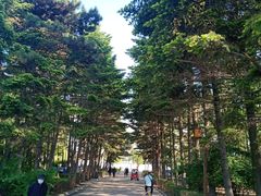 -长春市南湖公园