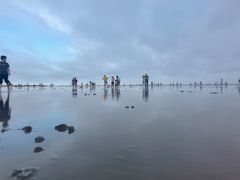 -奉贤海滩