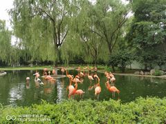 -石家庄市动物园