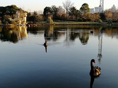 -南通濠河风景名胜区