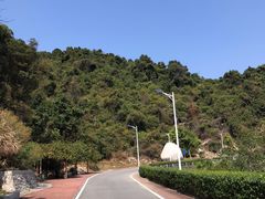 -火炉山森林公园