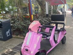 -深圳野生动物园
