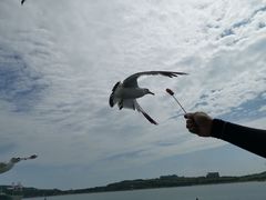 -海驴岛(荣成市)