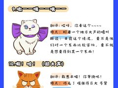 -猫十亿·布偶金渐层·曼基康矮脚猫舍(青年路店)
