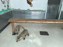 -大连森林动物园