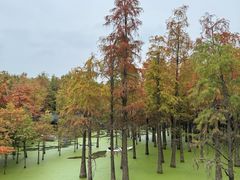 -上海长兴岛郊野公园