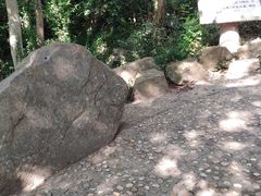 -上海佘山国家森林公园天马山园