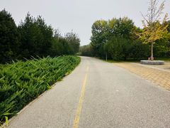 -永定河休闲森林公园