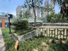 -成都市活水公园