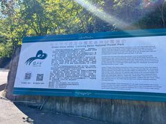 -本溪汤沟绿石谷森林公园