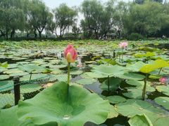 -WhaleSports户外水上运动俱乐部(朝阳公园店)