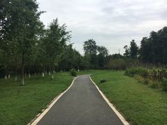 -白鹭湾湿地公园